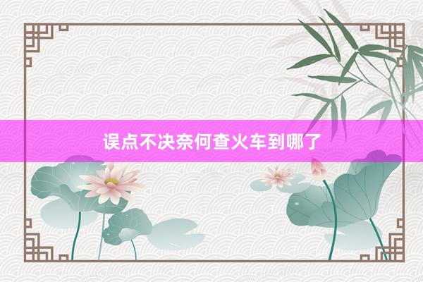 误点不决奈何查火车到哪了