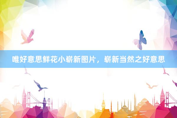 唯好意思鲜花小崭新图片,崭新当然之好意思