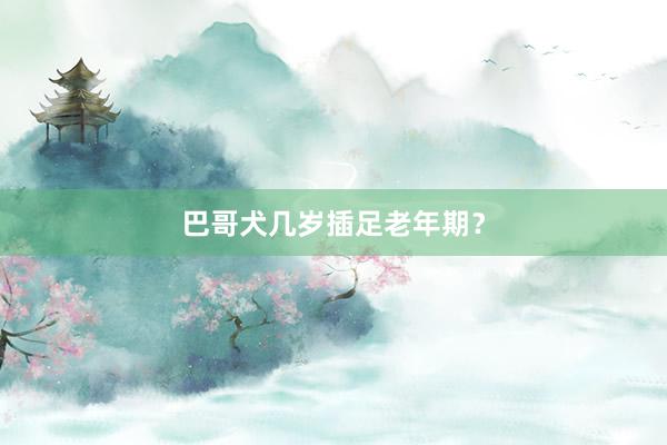 巴哥犬几岁插足老年期？