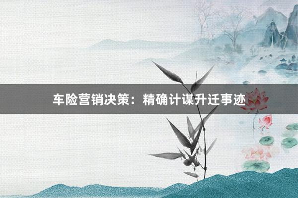 车险营销决策：精确计谋升迁事迹